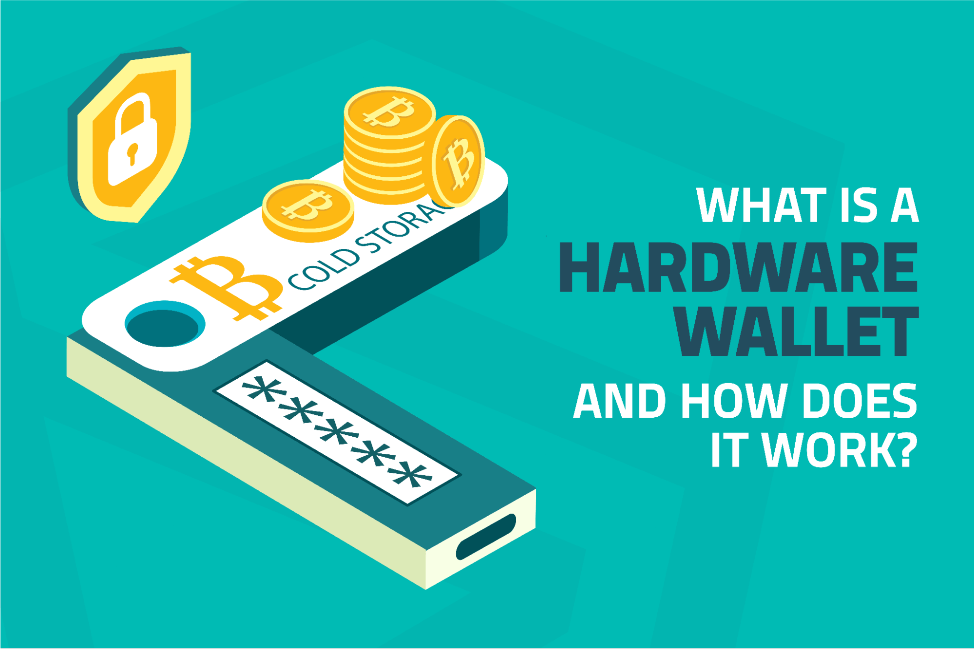 Was Ist Ein Hardware-Wallet Und Wie Funktioniert Es?