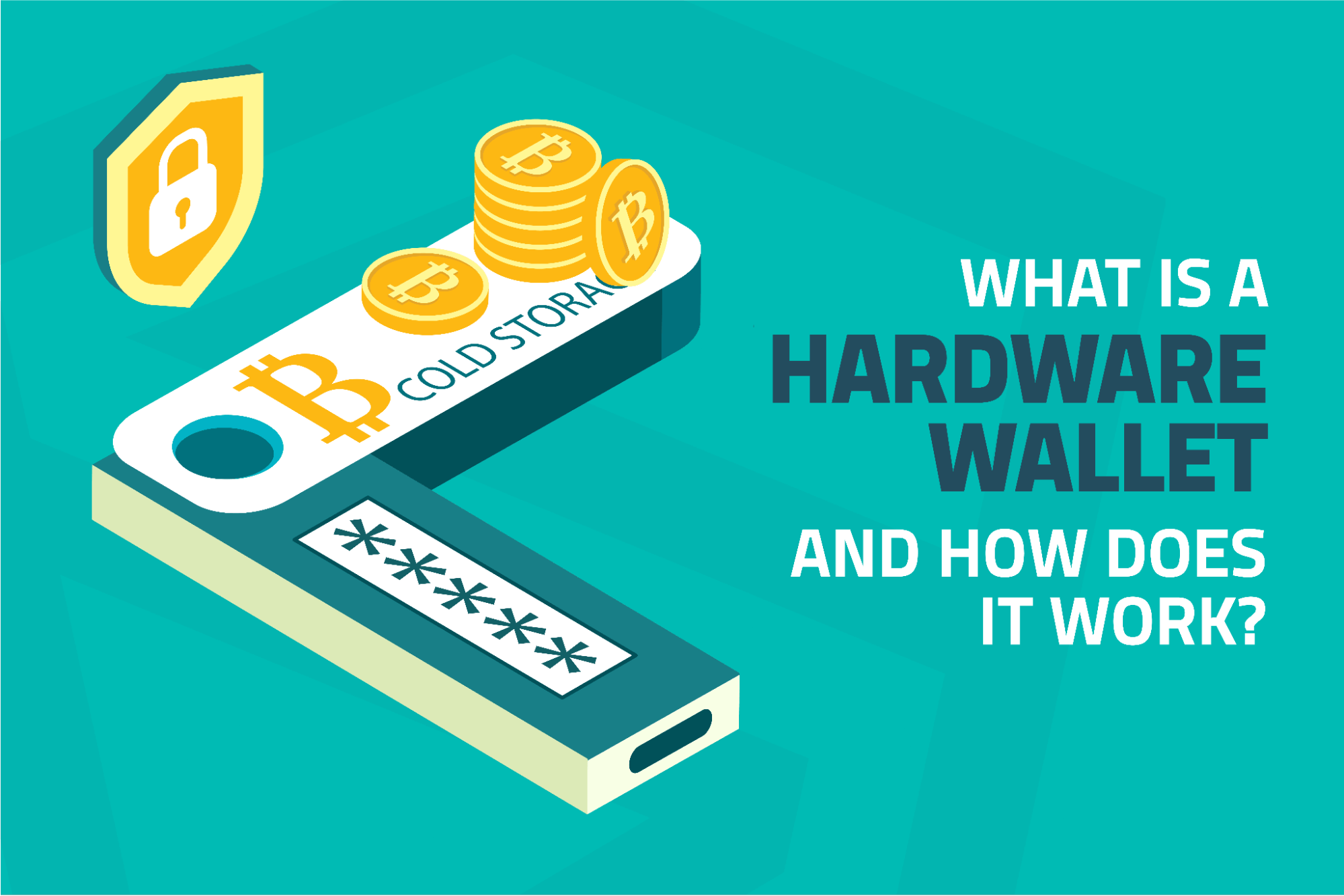 What Is A Hardware Wallet And How Does It Work Shieldfolio Inc what-is-a-hardware-wallet-and-how-does-it-work-shieldfolio-inc